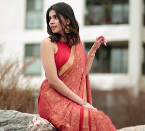 10 Saree Draping Styles For This Festive Season