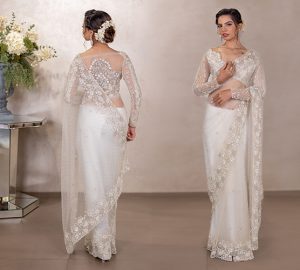 Fallen Pallu Drape – Master the Timeless Drape to Perfection