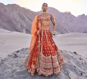 Mixing Traditional and Modern: Innovative Lehenga Choli Designs